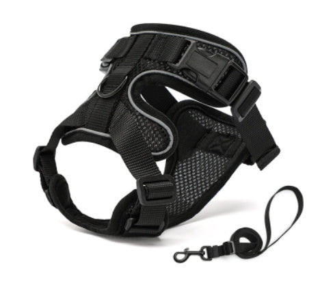 PawProwl Escape-Proof Cat Harness & Leash Set - Breathable Mesh Walking Harness for Cats