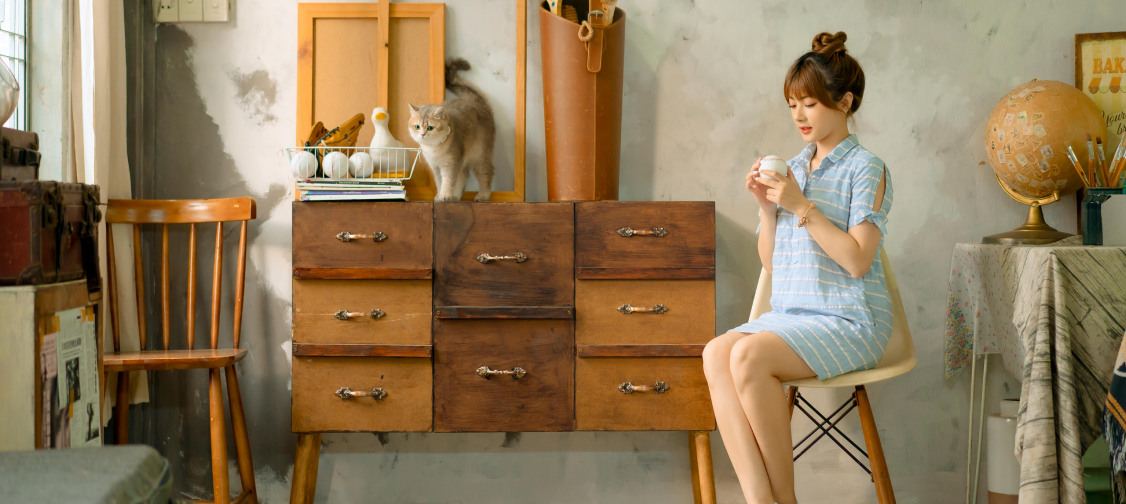 Cat-Friendly Home Decor: Stylish Ideas That Won’t Break the Bank