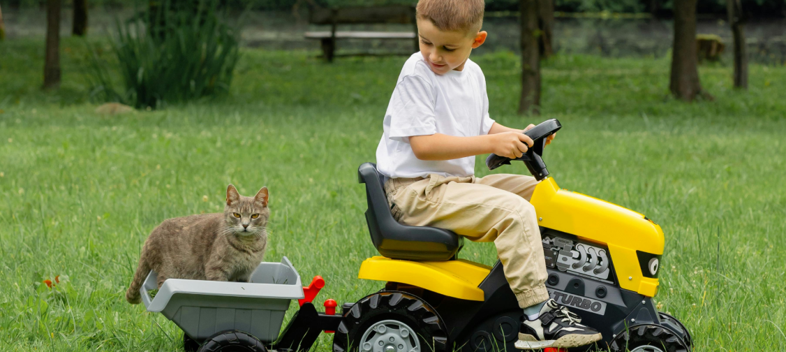 Cat Playtime Hacks: How to Keep Your Kitty Active Without Breaking the Bank