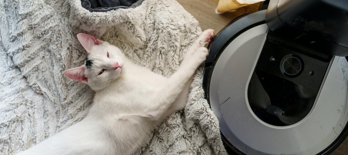 Cat-Safe Cleaning Products: Keeping Your Home Clean Without Risking Your Cat’s Health
