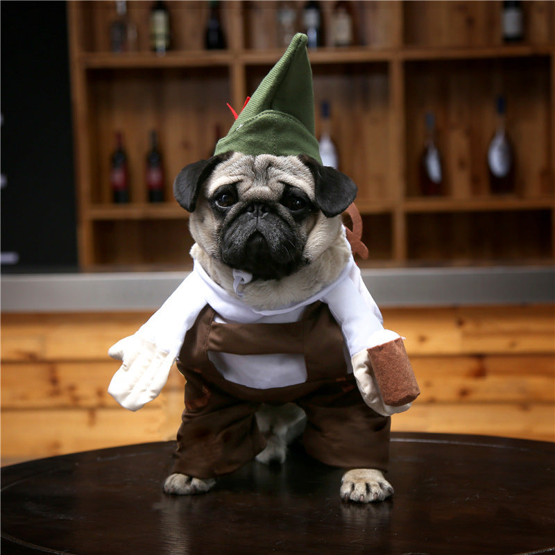 Adorable Cat Costume Collection - Professional & Character Outfits for Photo-Ready Pets