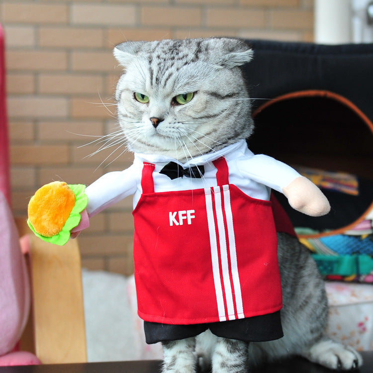 Adorable Cat Costume Collection - Professional & Character Outfits for Photo-Ready Pets