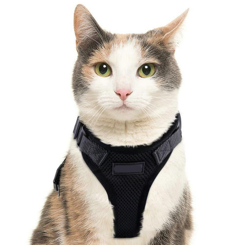 PawProwl Escape-Proof Cat Harness & Leash Set - Breathable Mesh Walking Harness for Cats