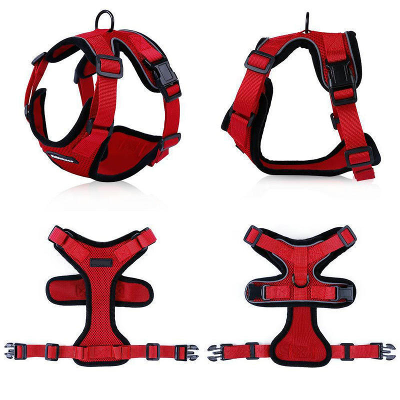 PawProwl Escape-Proof Cat Harness & Leash Set - Breathable Mesh Walking Harness for Cats