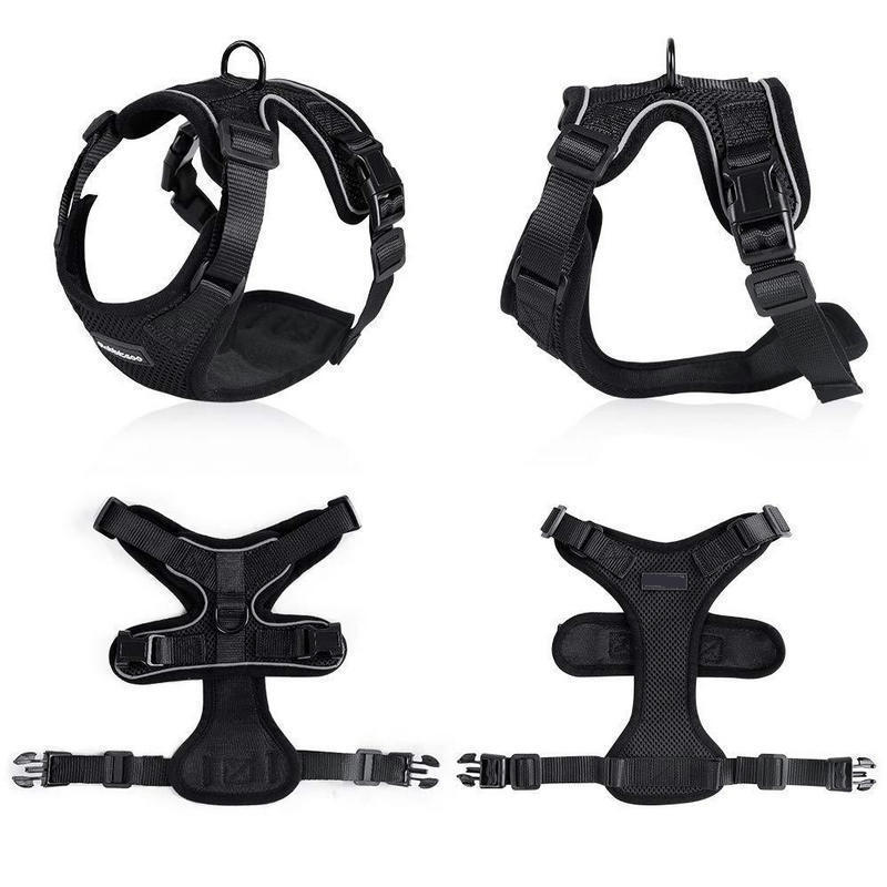 PawProwl Escape-Proof Cat Harness & Leash Set - Breathable Mesh Walking Harness for Cats