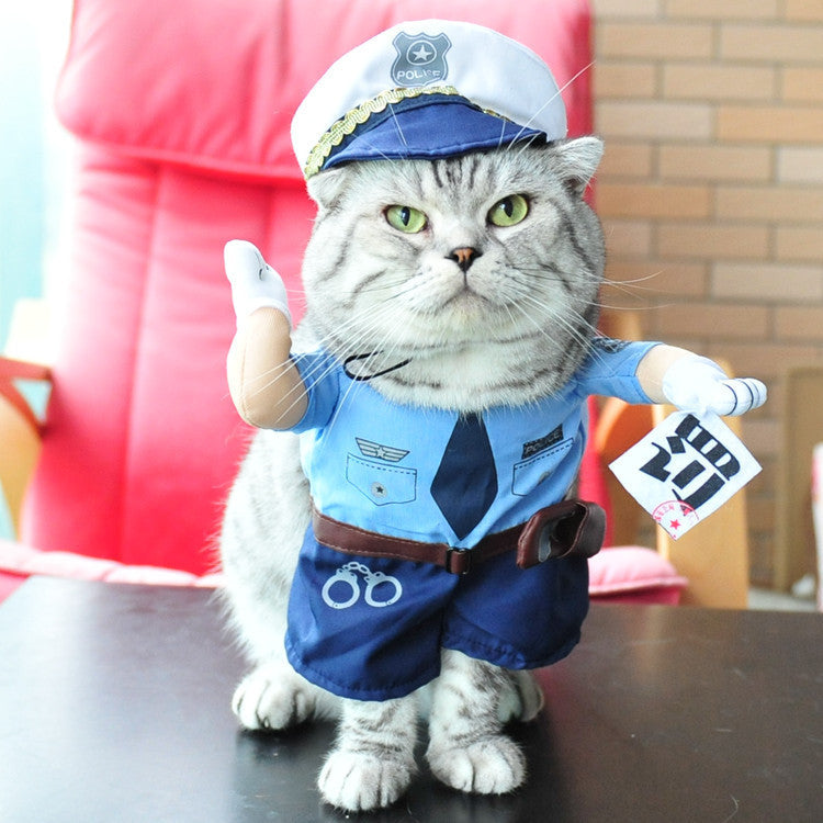 Adorable Cat Costume Collection - Professional & Character Outfits for Photo-Ready Pets