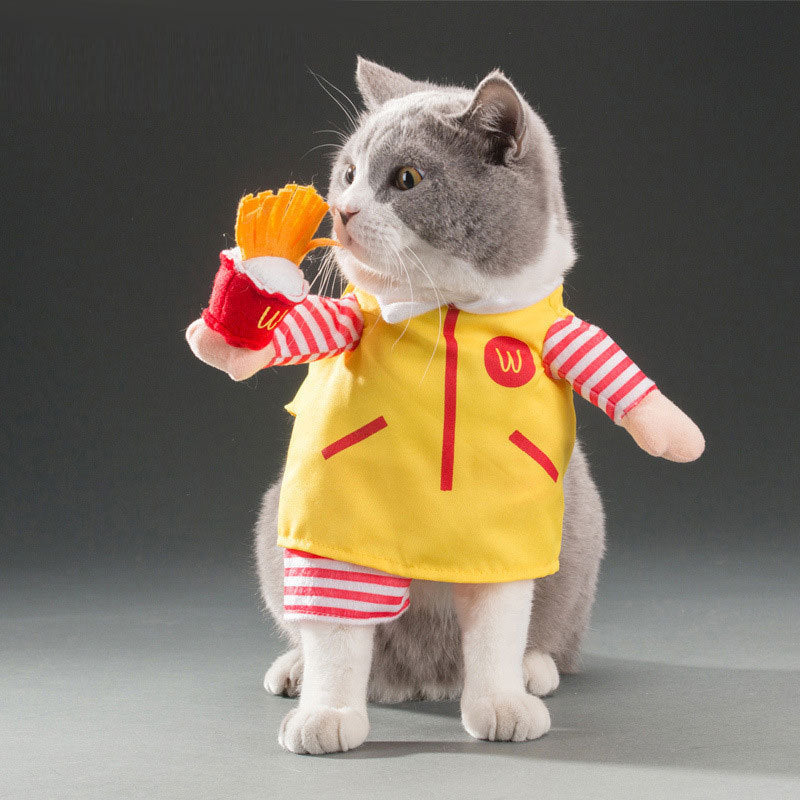 Adorable Cat Costume Collection - Professional & Character Outfits for Photo-Ready Pets