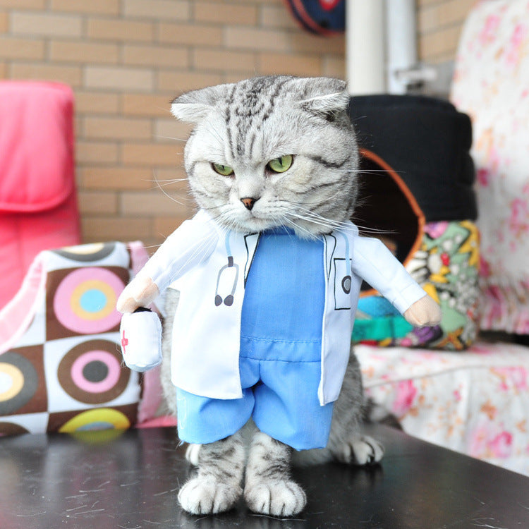 Adorable Cat Costume Collection - Professional & Character Outfits for Photo-Ready Pets