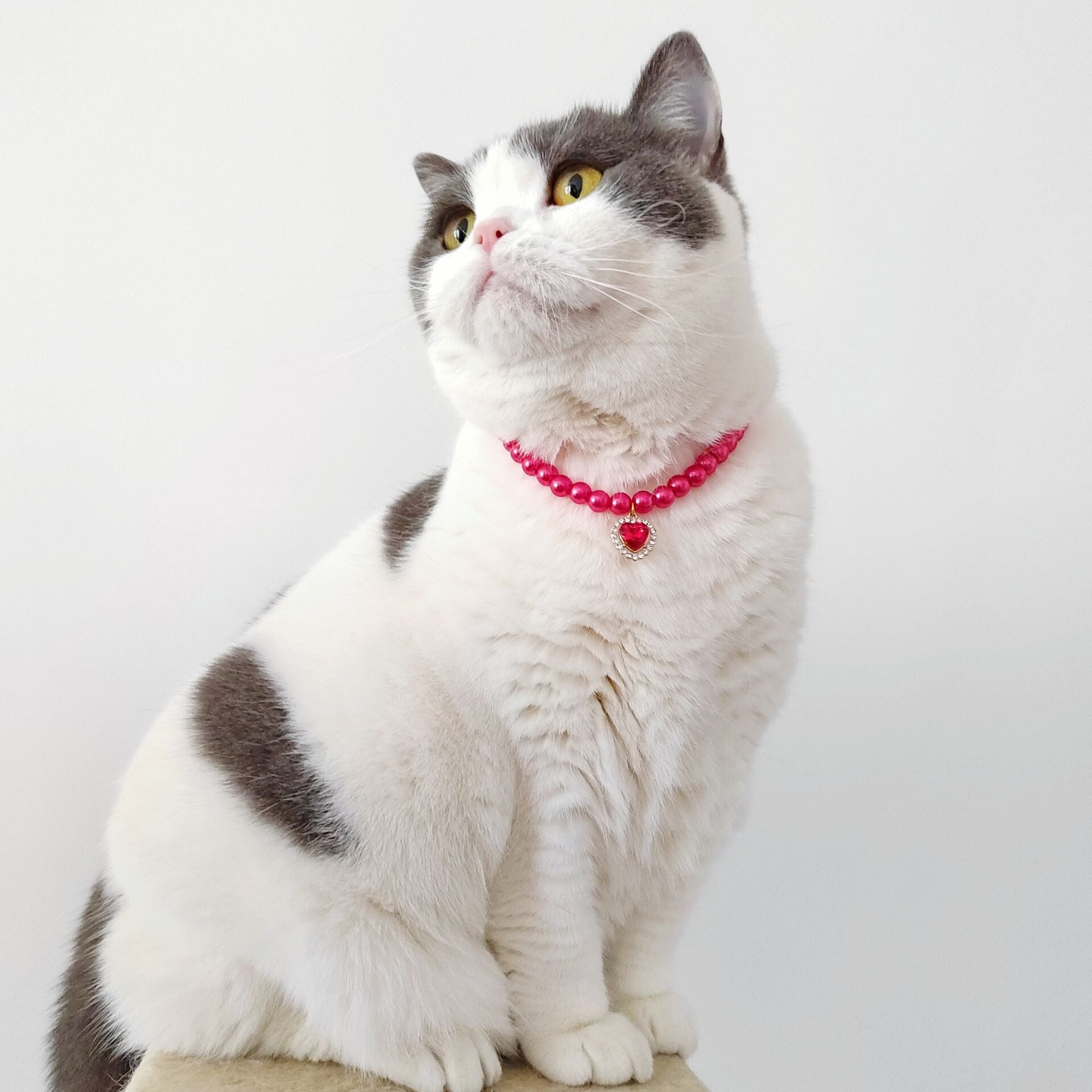 Luxury Pearl Cat Collar with Crystal Heart Pendant - Elegant Designer Collar in 4 Colors