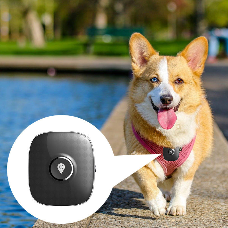 Smart GPS Pet Tracker Collar - Real-Time Location Monitoring for Cats & Small Dogs