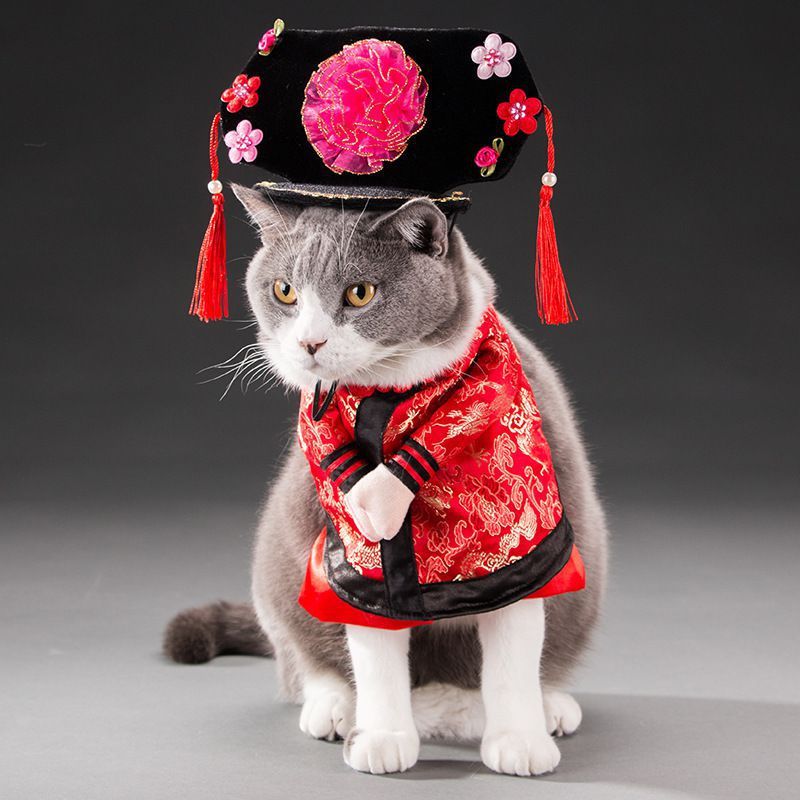 Adorable Cat Costume Collection - Professional & Character Outfits for Photo-Ready Pets