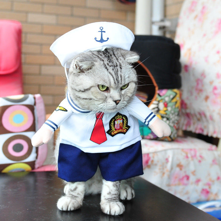 Adorable Cat Costume Collection - Professional & Character Outfits for Photo-Ready Pets