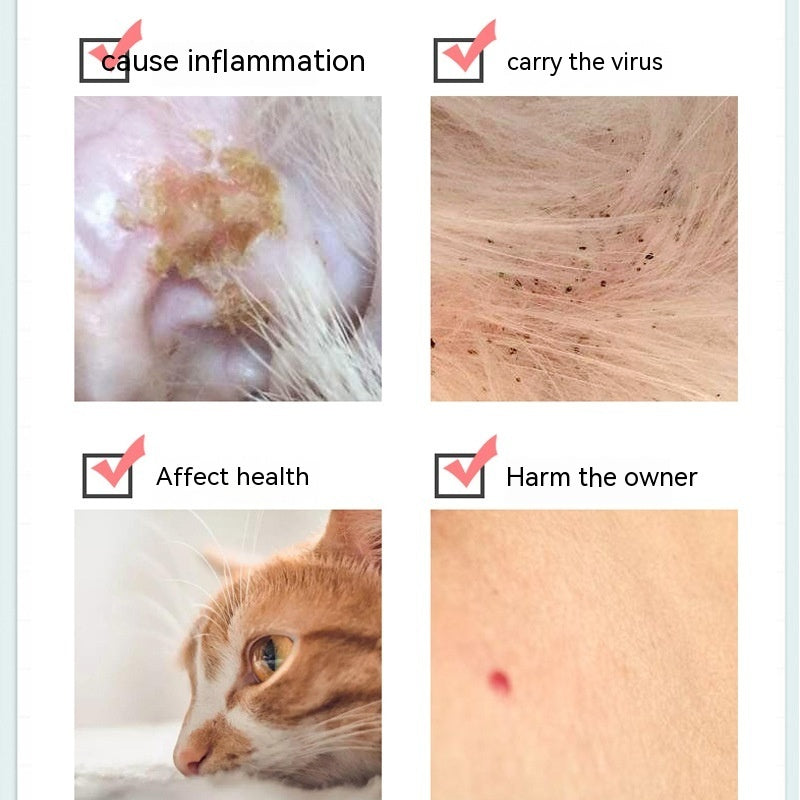 Natural Plant Essential Oil Flea & Tick Collar - Safe Herbal Protection for Cats