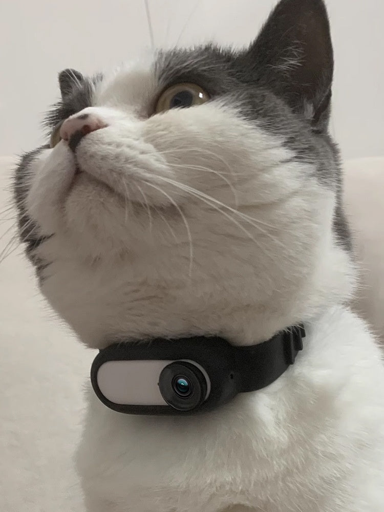 Smart Cat Camera Collar - GPS Tracking with HD Recording & USB Charging