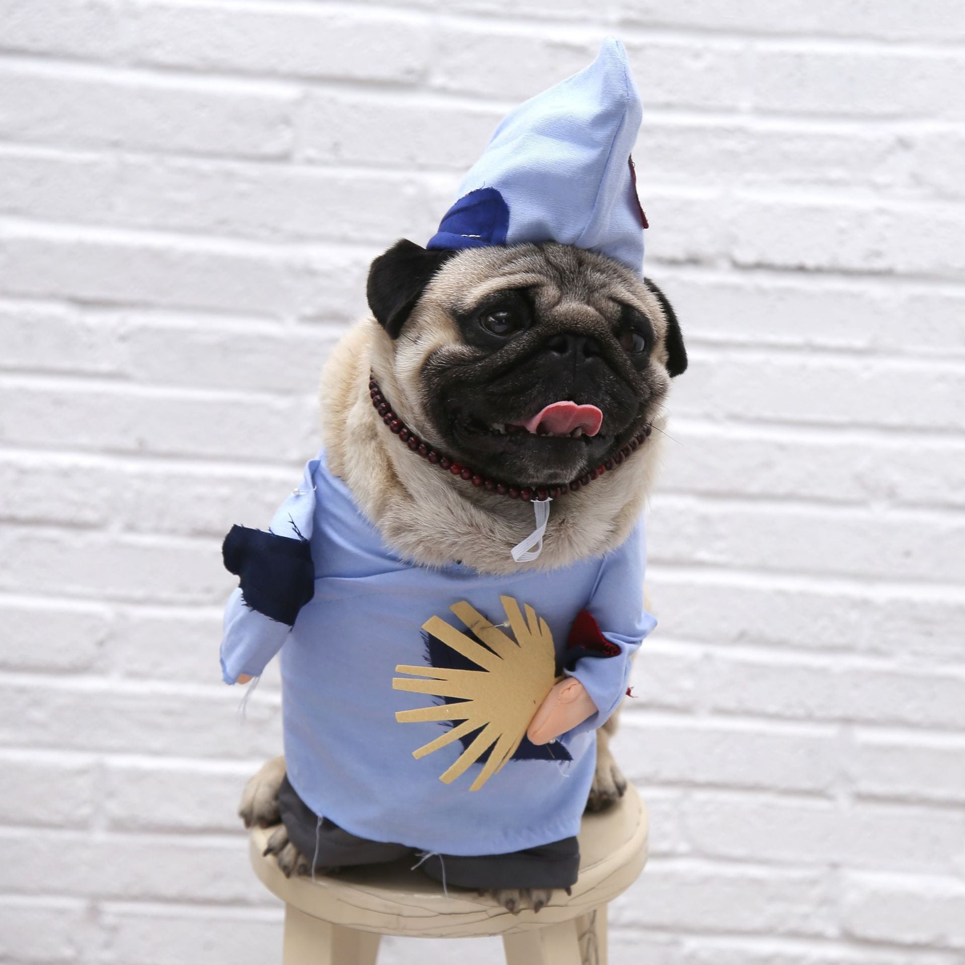 Adorable Cat Costume Collection - Professional & Character Outfits for Photo-Ready Pets