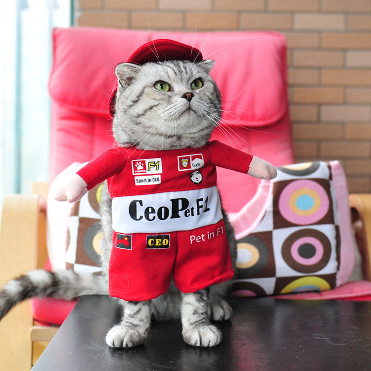 Adorable Cat Costume Collection - Professional & Character Outfits for Photo-Ready Pets