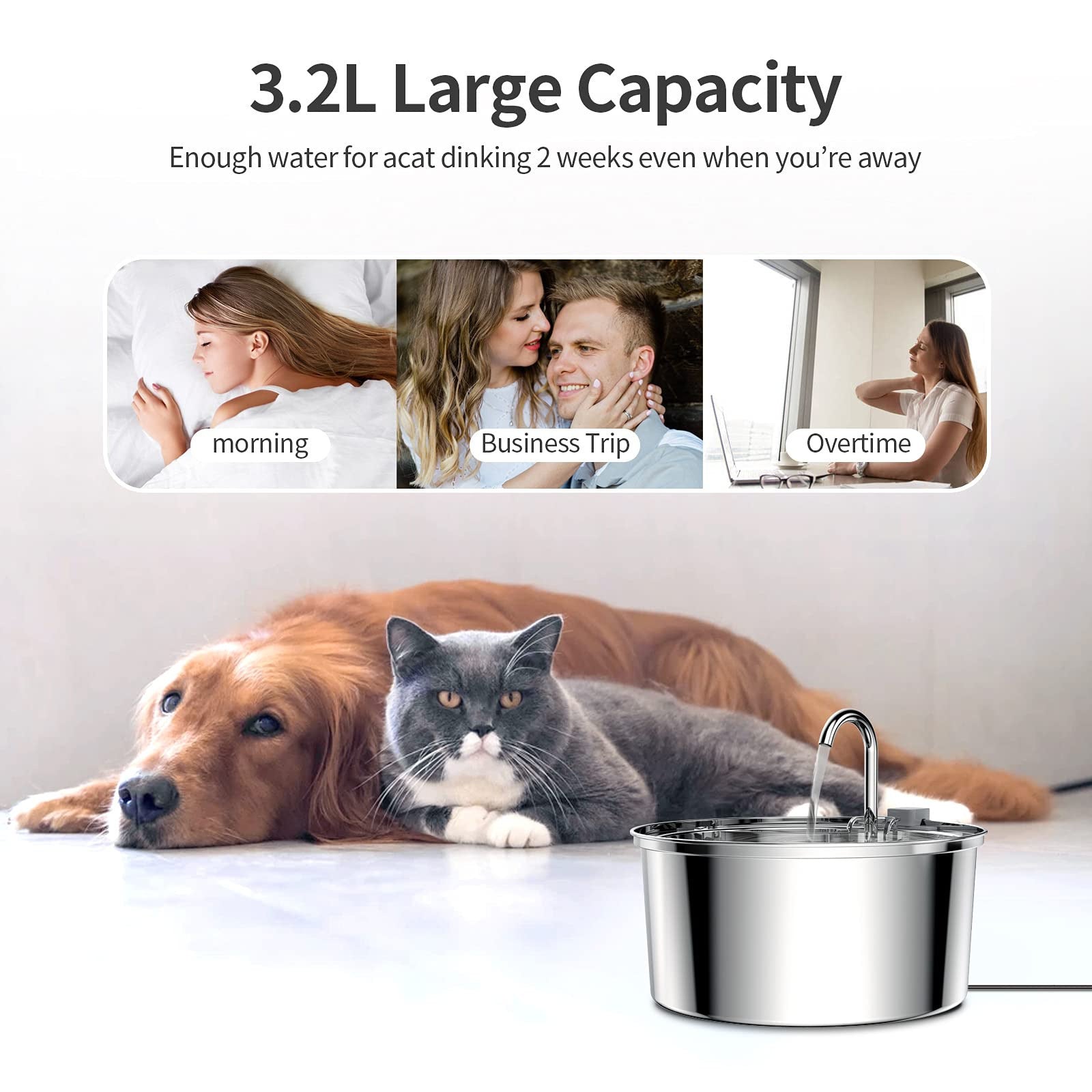 Premium 3.2L Stainless Steel Cat Water Fountain - Automatic Pet Drinking Fountain with Filtration System
