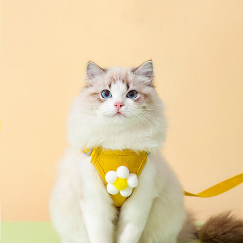 Anti-Escape Cat Undershirt Harness & Leash Set - Secure Vest-Style Design