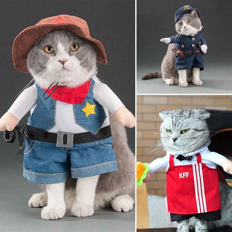 Adorable Cat Costume Collection - Professional & Character Outfits for Photo-Ready Pets