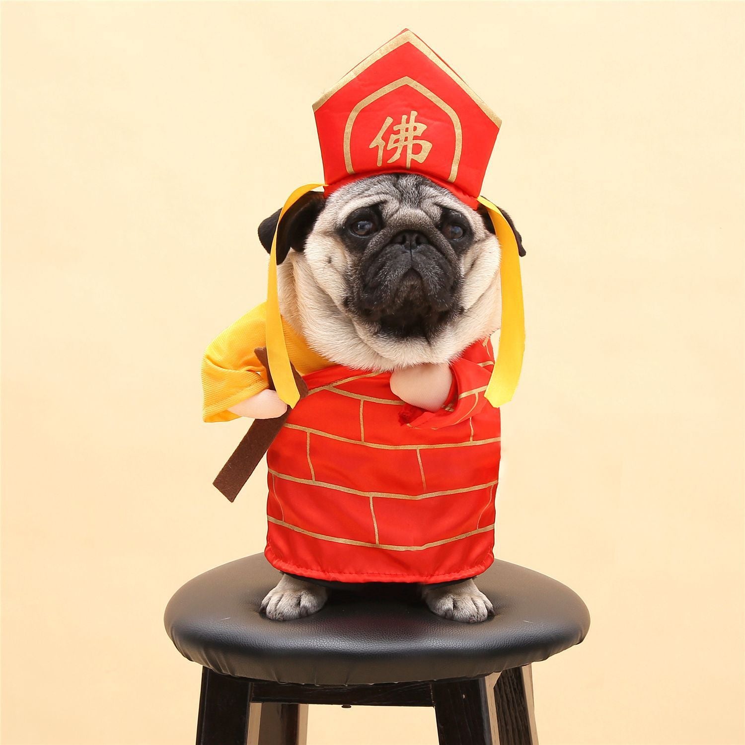 Adorable Cat Costume Collection - Professional & Character Outfits for Photo-Ready Pets