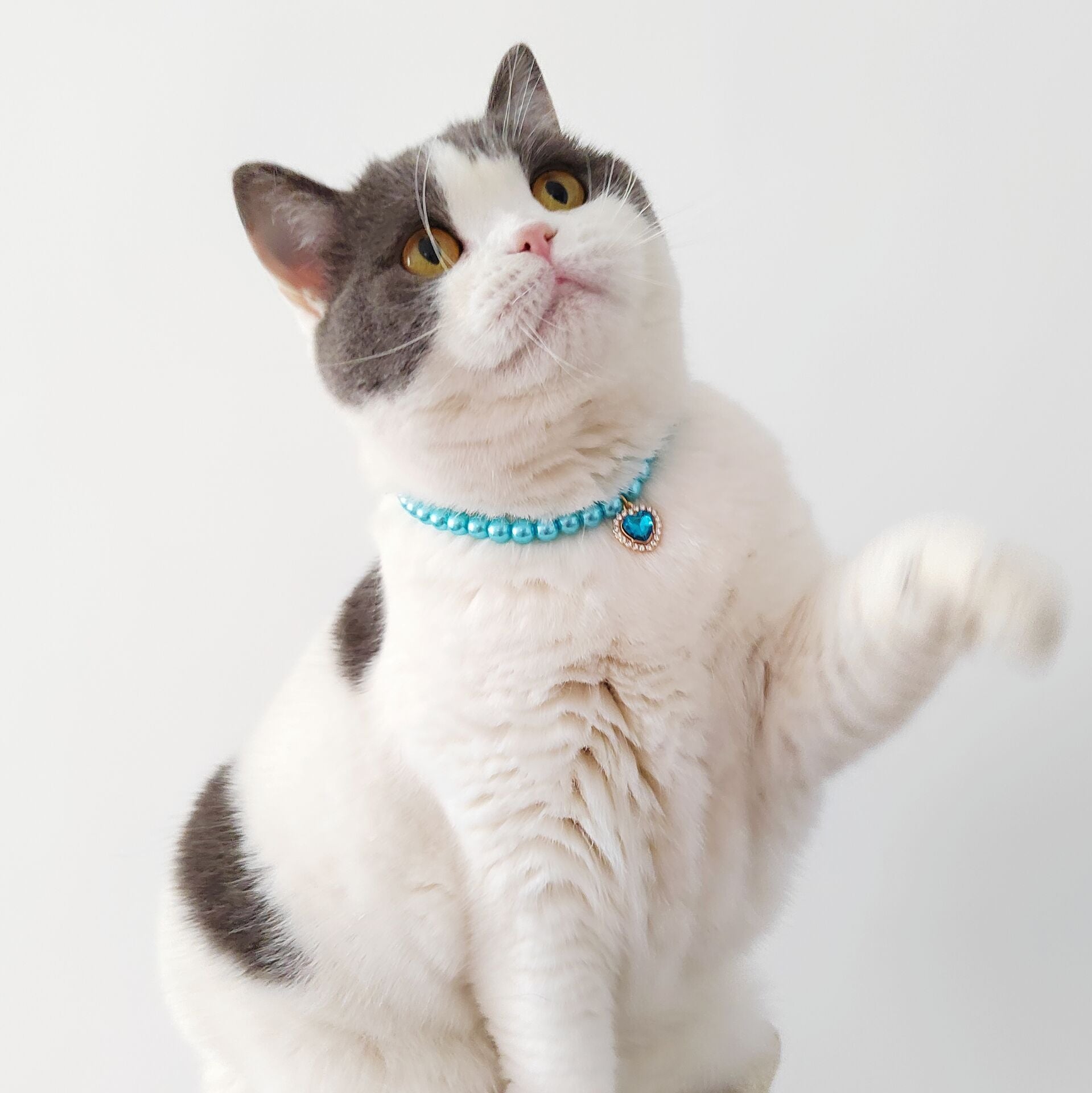 Luxury Pearl Cat Collar with Crystal Heart Pendant - Elegant Designer Collar in 4 Colors