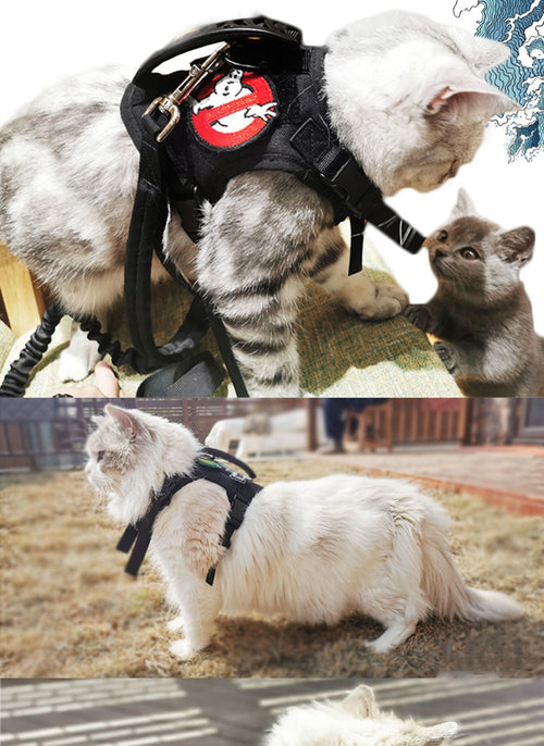 Adjustable Tactical Cat Harness & Leash Set - Heavy-Duty Nylon with Military-Inspired Design