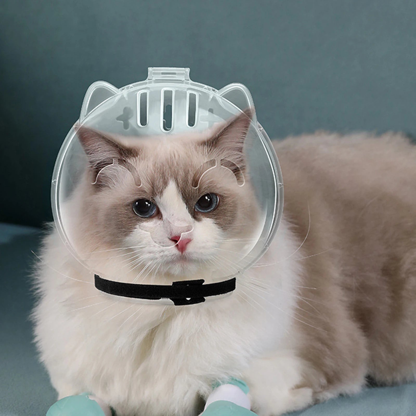 Cat Grooming Muzzle - Breathable Anti-Bite Hood for Bathing and Nail Trimming