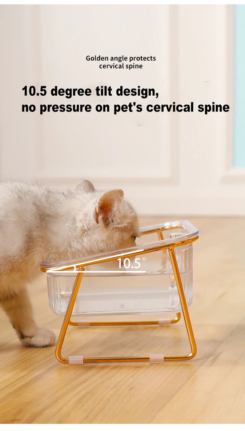 Elevated Double Cat Bowl Set - Transparent Bowls with Golden Stand & Ergonomic Design