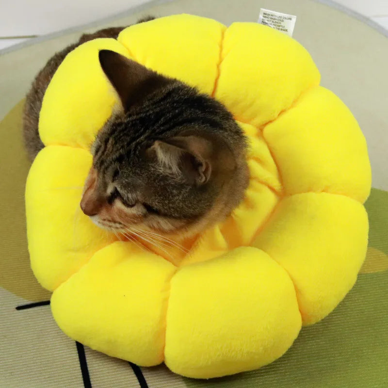 Sunflower Recovery Collar for Cats - Soft Padded Elizabethan Cone Alternative, Adjustable Post-Surgery Protection Collar