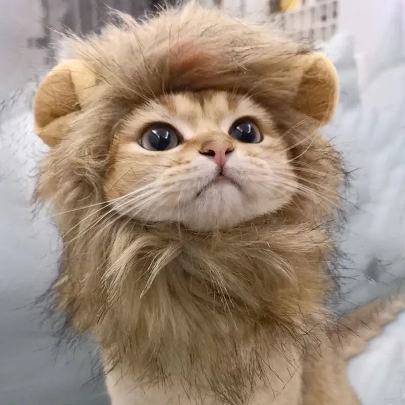 Lion Mane Cat Costume - Adorable Fancy Dress Wig