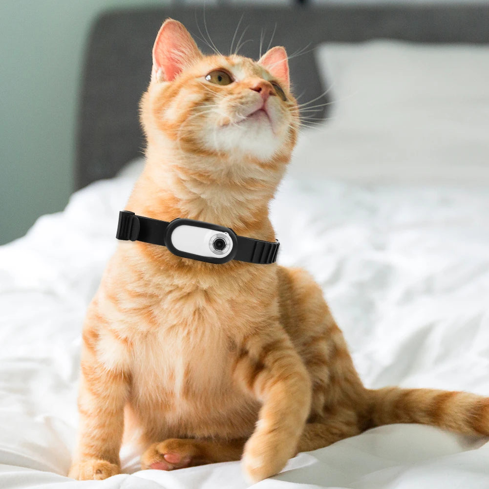 Pet Collar Camera - HD 1080P Wireless Action Camera with Silicone Collar & LCD Screen