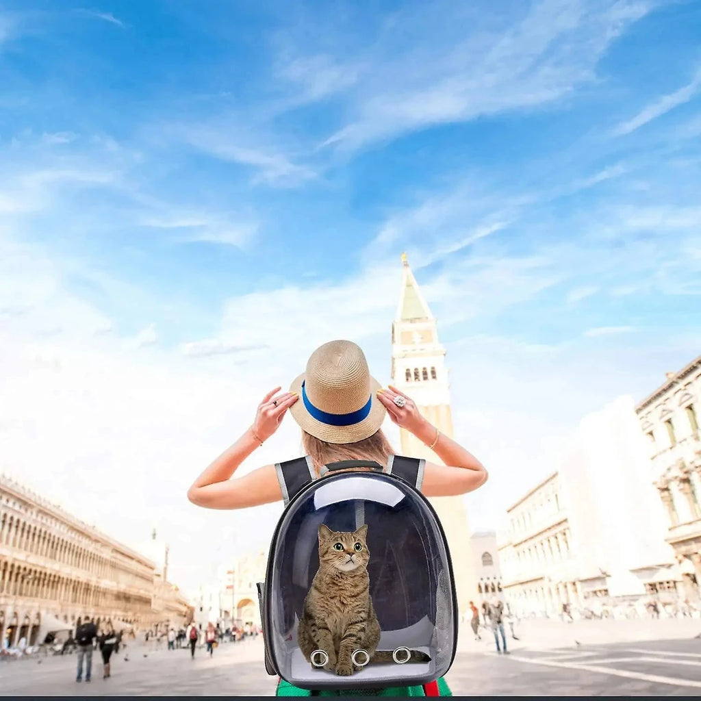 Transparent Bubble Pet Carrier Backpack - Breathable Travel Bag for Cats, Kittens & Small Pets
