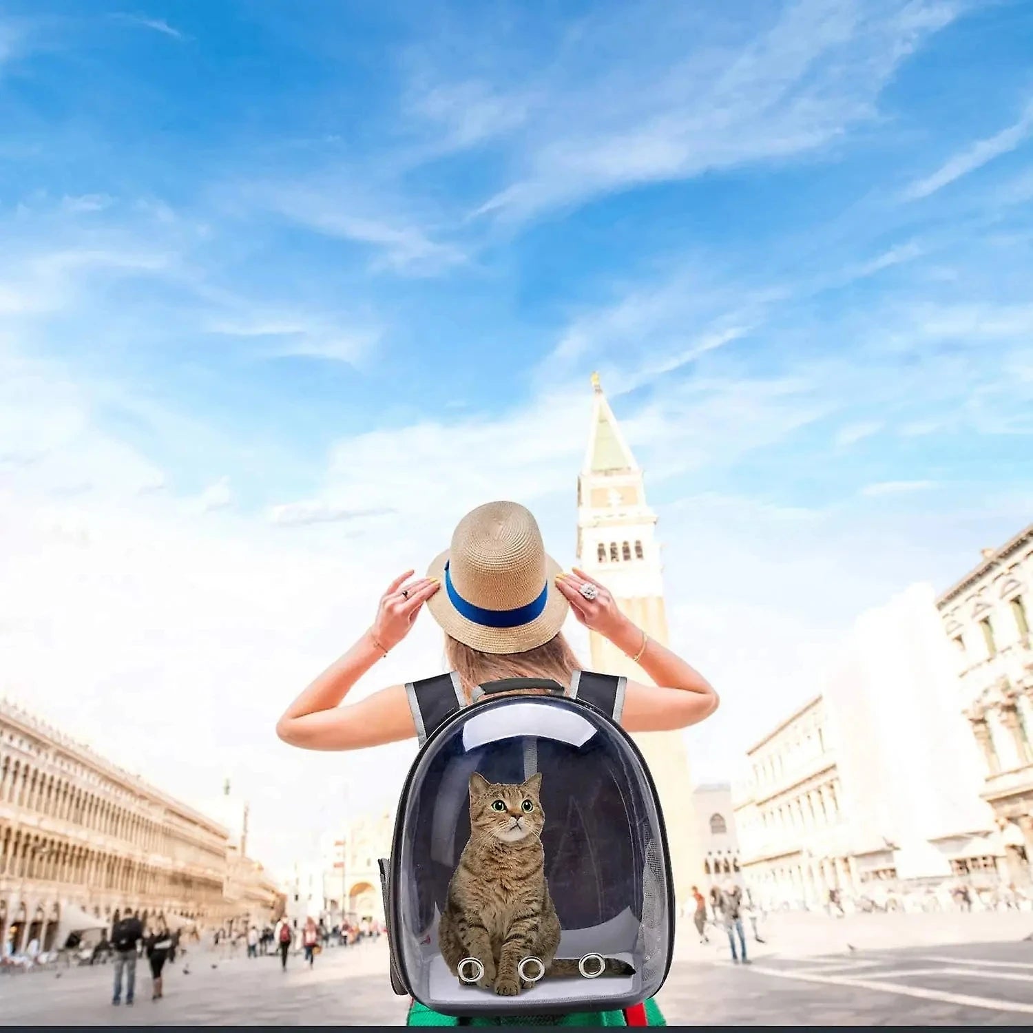 Transparent Bubble Pet Carrier Backpack - Breathable Travel Bag for Cats, Kittens & Small Pets