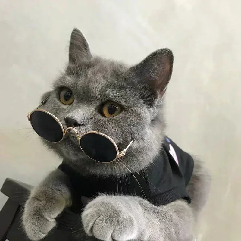 Cat Sunglasses with UV Protection - Cute Pet Photo Props for Cats & Small Dogs