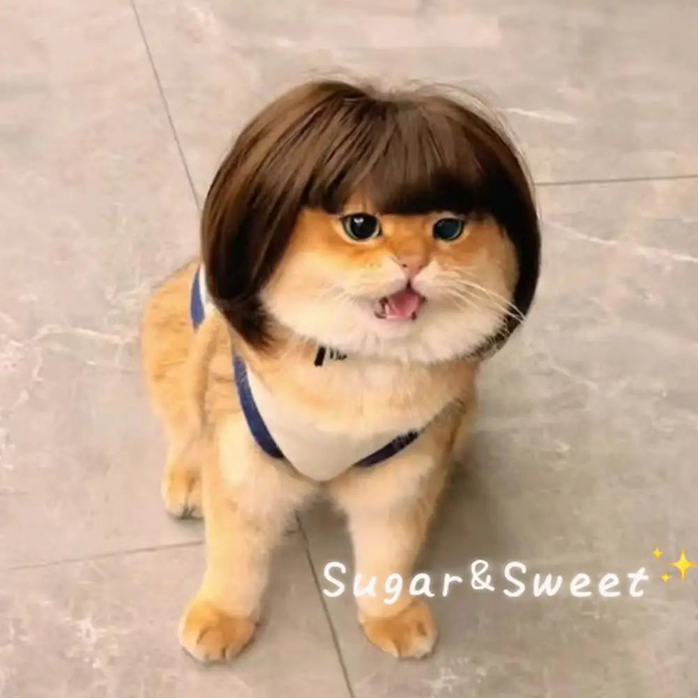 Cat Wig with Fringe - Funny Costume Accessory for Cats | Cute Pet Dress-Up Headwear
