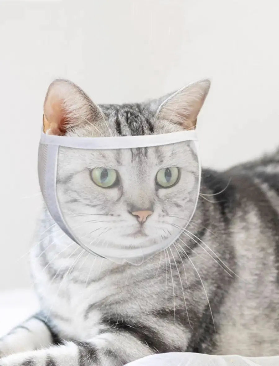 Cat Grooming Muzzle - Transparent Breathable Anti-Bite Mask for Grooming & Veterinary Care