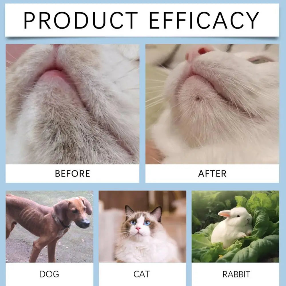 Cat Chin Cleaner 30g - Feline Acne Treatment Lotion with Grooming Brush for Blackhead Removal