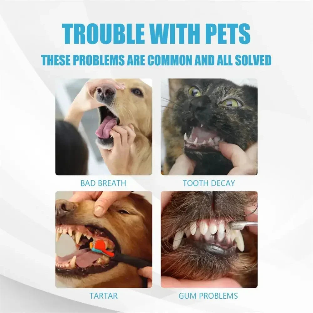 Cat Toothbrush Set with Soft Bristles - Complete Dental Care Kit for Feline Oral Hygiene