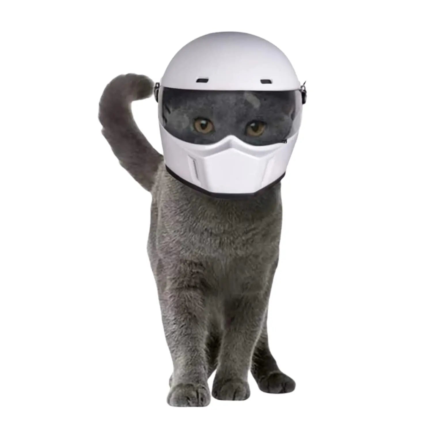 Cat Motorcycle Helmet - Novelty Pet Safety Hat for Cats or Small Dogs