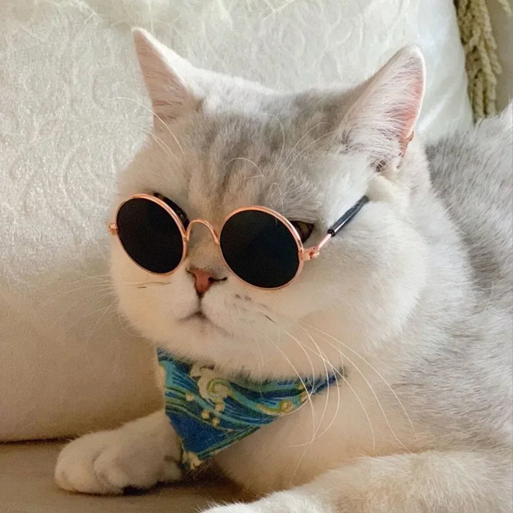 Cat Sunglasses with UV Protection - Cute Pet Photo Props for Cats & Small Dogs