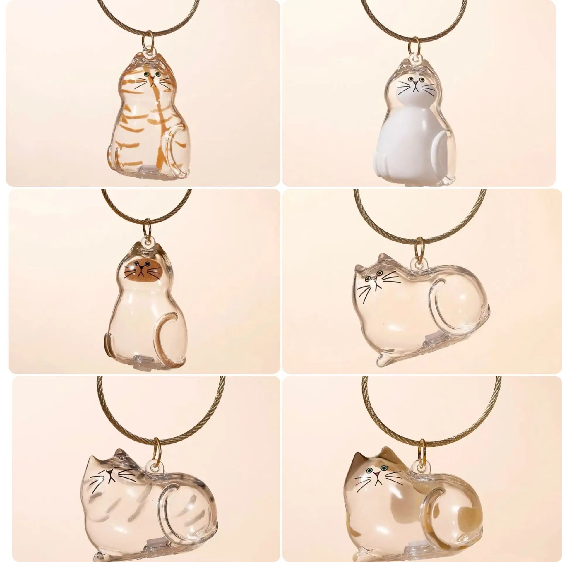 Cat Fur Keepsake Keyring - Transparent Pet Hair Storage Bottle Memorial Gift (Pack of 1/6)