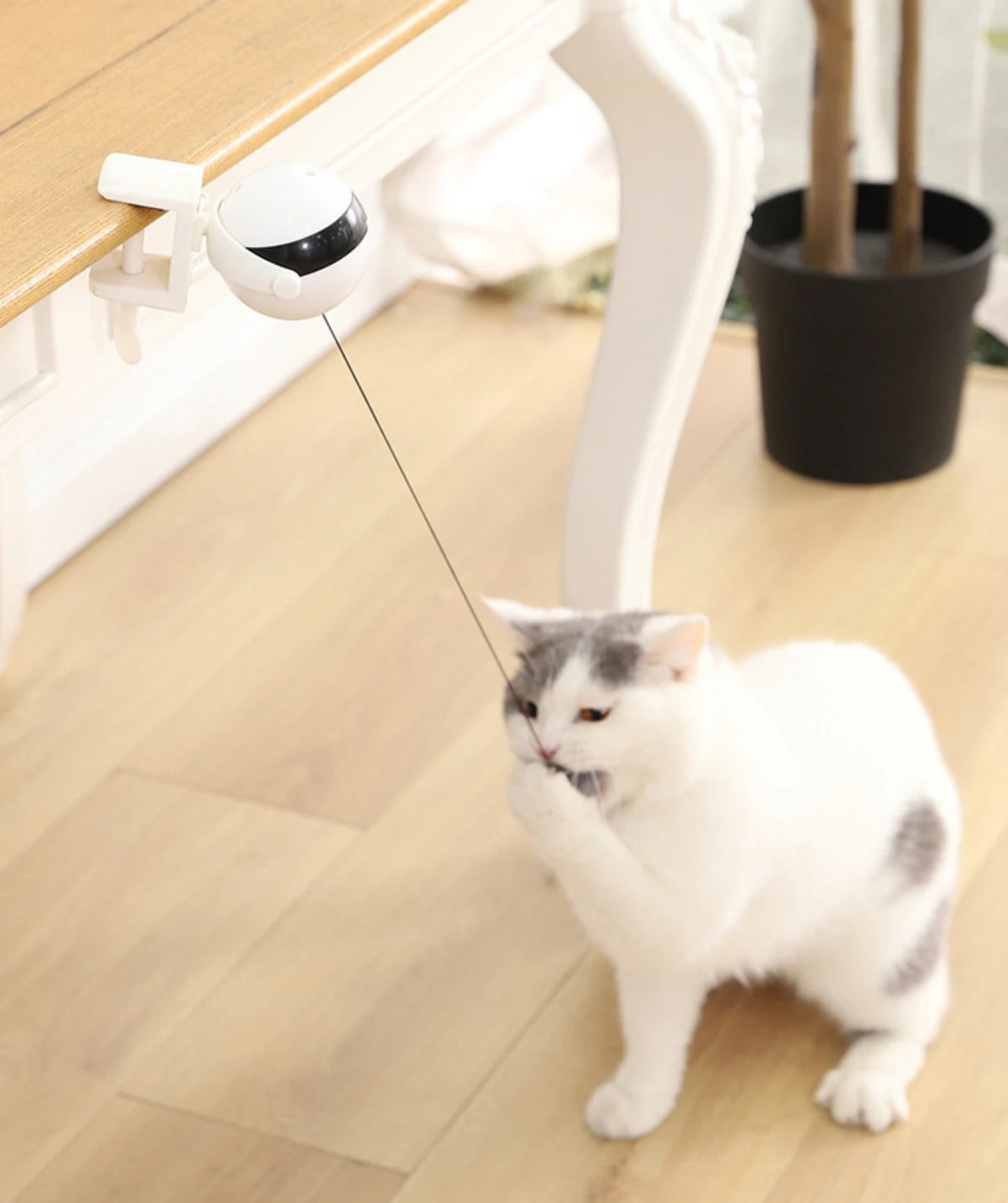 Automatic Lifting Ball Cat Toy - Interactive Electric Teaser with Rotating Motion