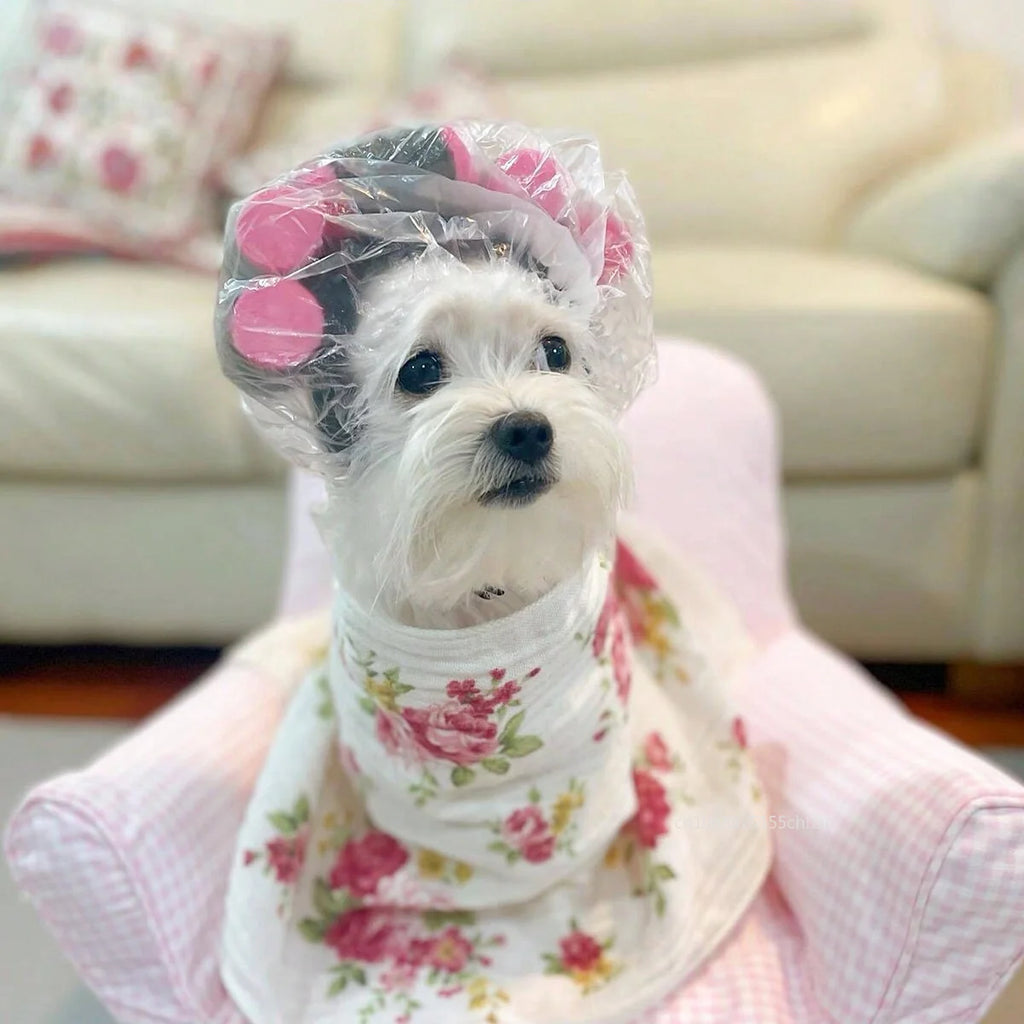 Cat Curler Hat - Adjustable Novelty Pet Headwear with Pink Hair Rollers