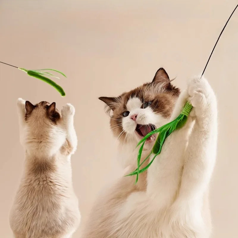 Interactive Feather Wand Cat Toy with Natural Grass Tail