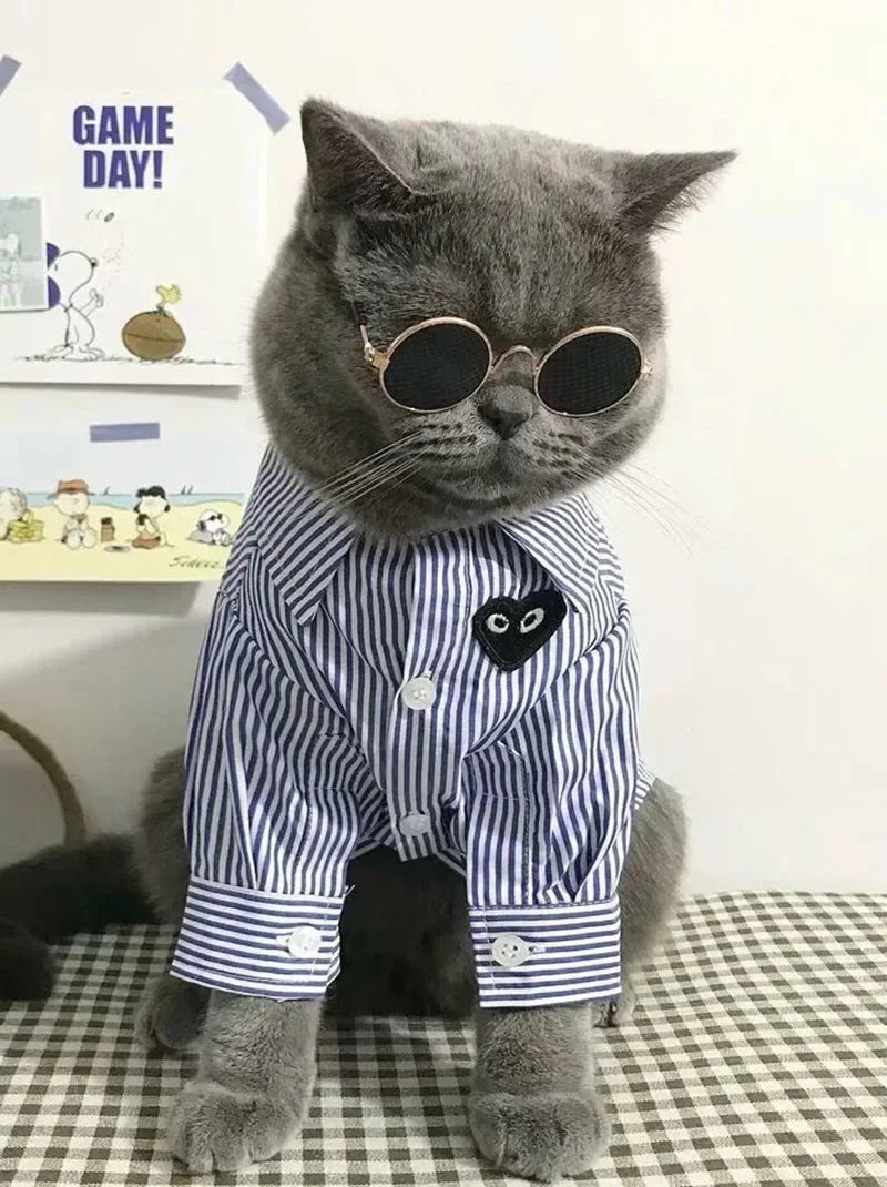 Cat Sunglasses with UV Protection - Cute Pet Photo Props for Cats & Small Dogs