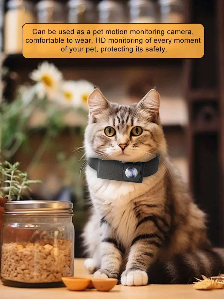 HD Pet Collar Camera - 1080P Wearable Video Recorder for Cats & Dogs with 170° Wide Angle Lens