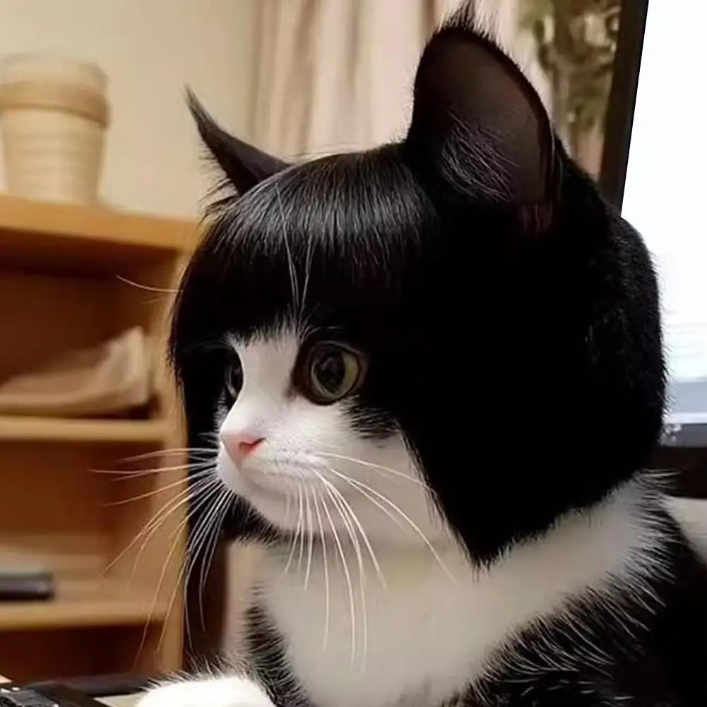 Cat Wig with Fringe - Funny Costume Accessory for Cats | Cute Pet Dress-Up Headwear