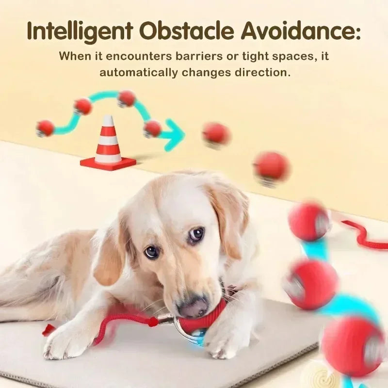 Smart Interactive Cat Ball - USB Rechargeable Auto-Rolling Toy with Intelligent Motion Sensors