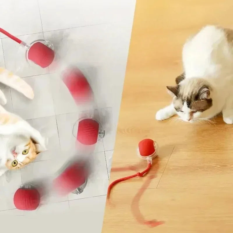 Smart Interactive Cat Ball - USB Rechargeable Auto-Rolling Toy with Intelligent Motion Sensors