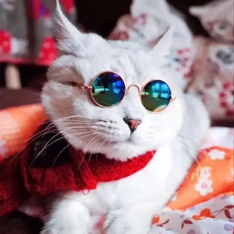 Cat Sunglasses with UV Protection - Cute Pet Photo Props for Cats & Small Dogs